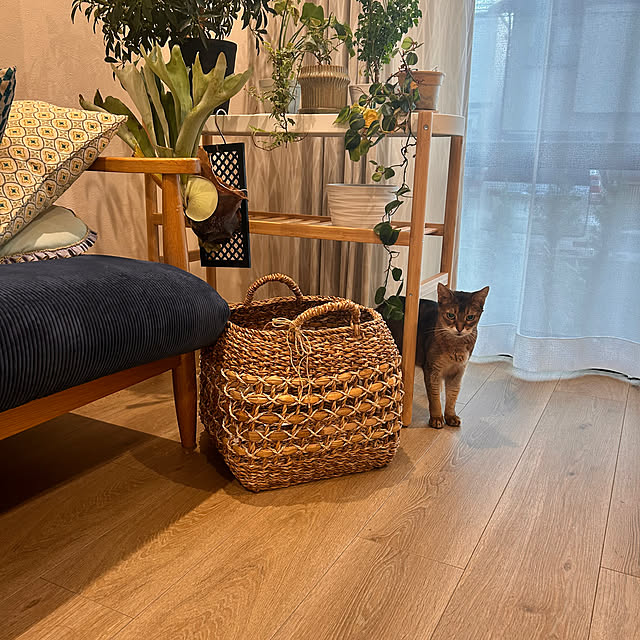 lucianoさんの部屋