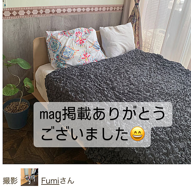 Fumiさんの実例写真