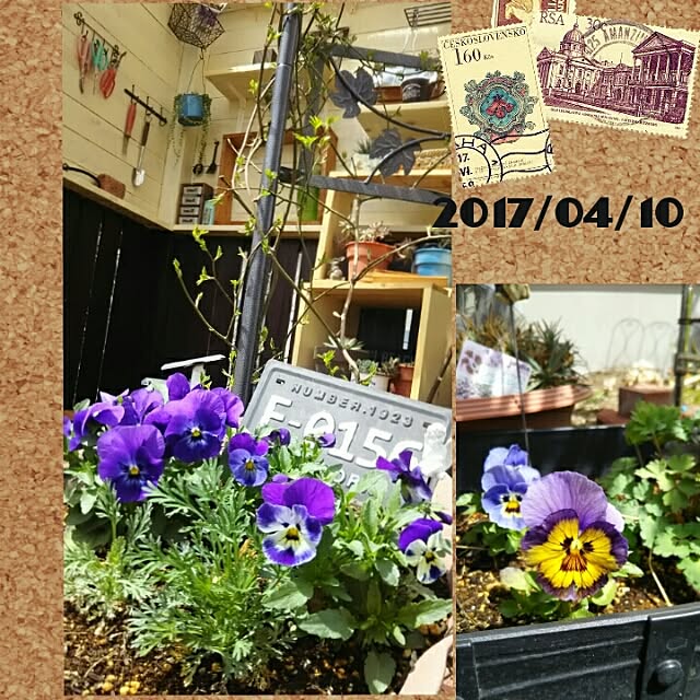 bousuke.215112さんの実例写真