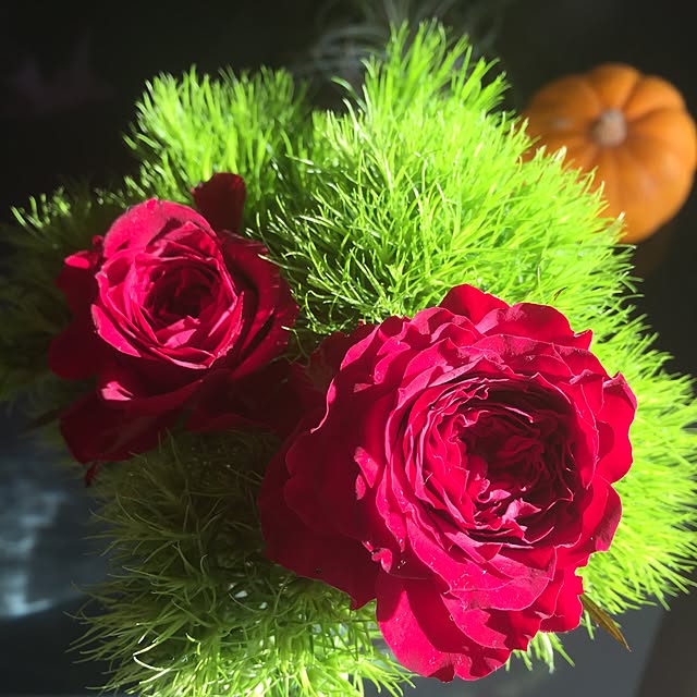 ta.be.happさんの実例写真