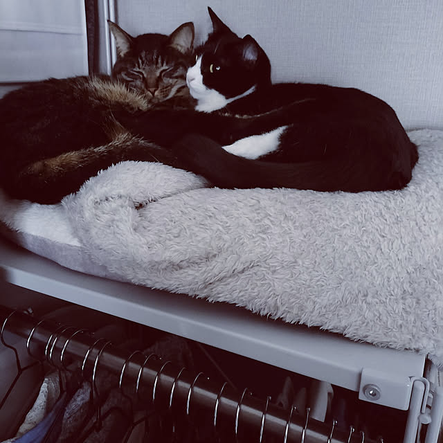 hihaさんの実例写真