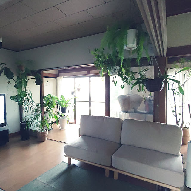 --rnrmm--さんの実例写真