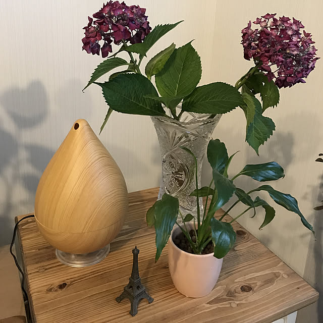 kanitamaさんの実例写真