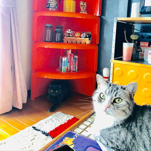 Shojiさんの実例写真