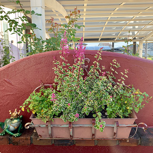 AYUKOさんの実例写真