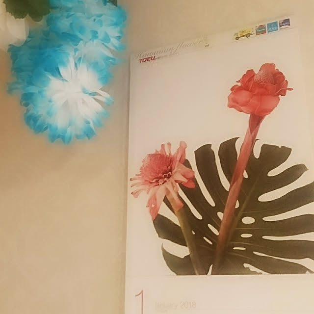 cocosorasakuさんの実例写真