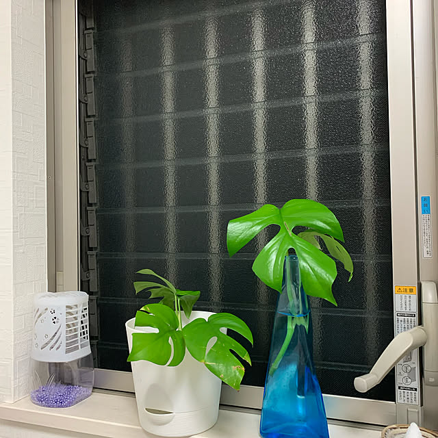 alohaさんの実例写真