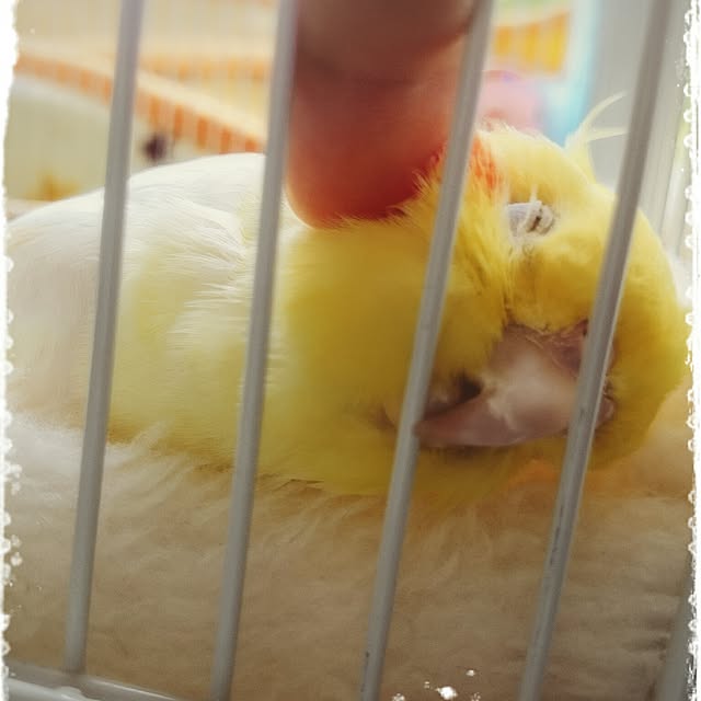 keikorinさんの実例写真