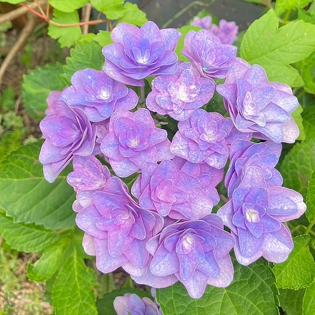 min_nimさんの実例写真