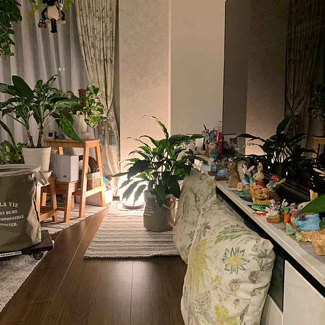 Aqettyさんの実例写真