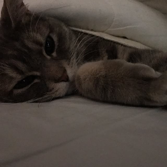 nanaさんの実例写真