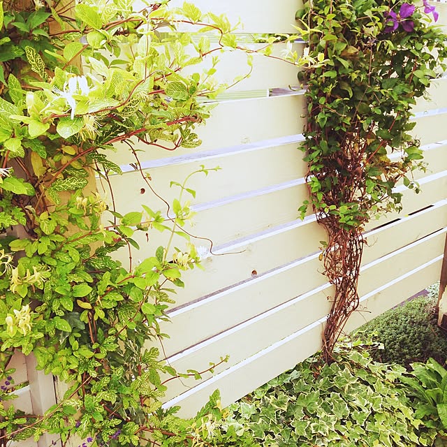 cookie_houseさんの実例写真