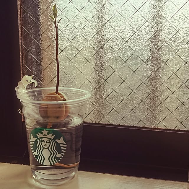 smooch_smoochさんの実例写真