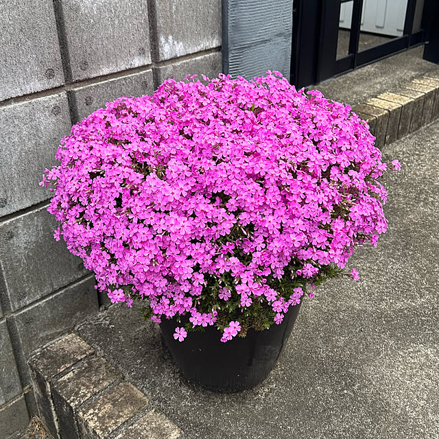 kuroさんの部屋