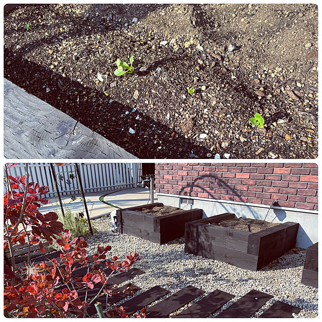 usagiさんの部屋