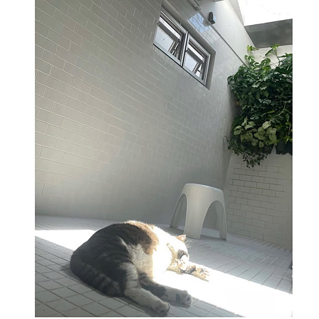 Lisaさんの実例写真