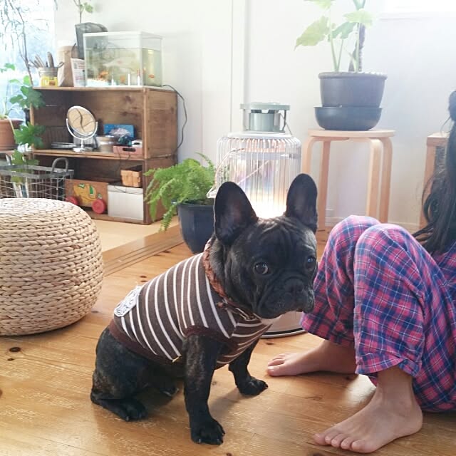 kuuuuさんの実例写真