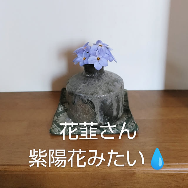 YUKOさんの実例写真