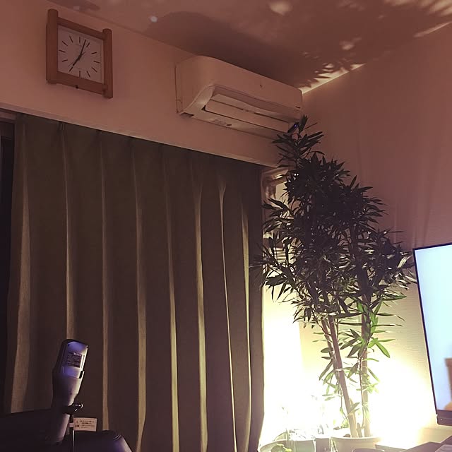 CHIIさんの実例写真