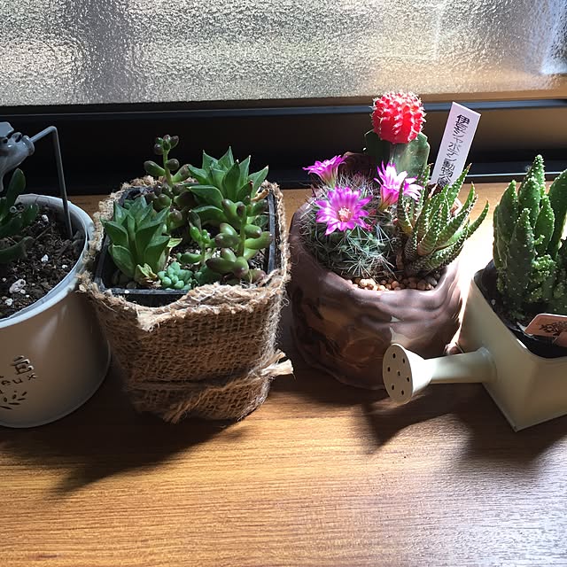 CoffeeHouseさんの実例写真