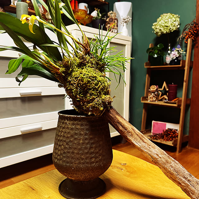 mamanさんの実例写真