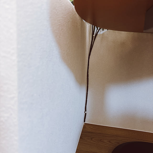 tomatoさんの部屋