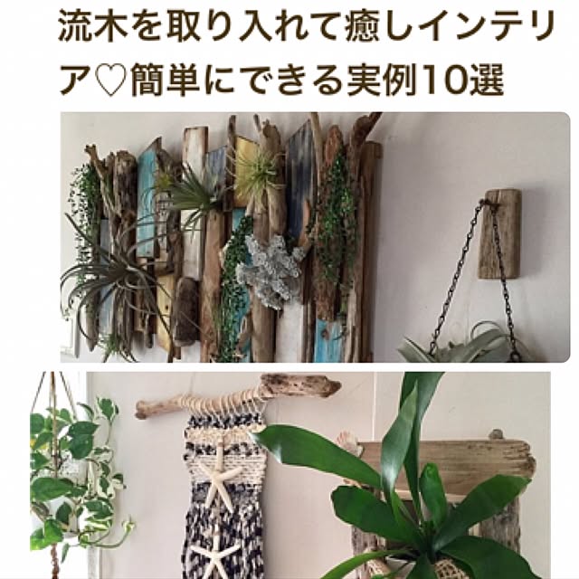cooさんの実例写真