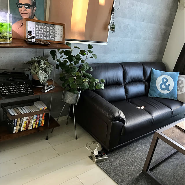 IBさんの実例写真
