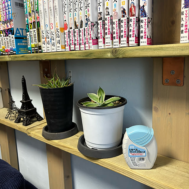koshiregutyoさんの部屋