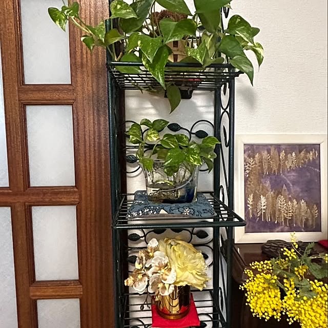otibi.tt8787さんの部屋