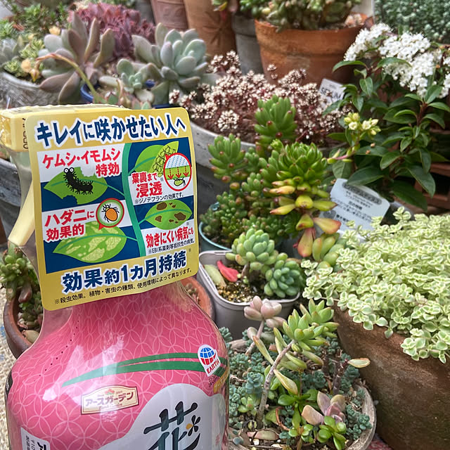 na-chanさんの部屋