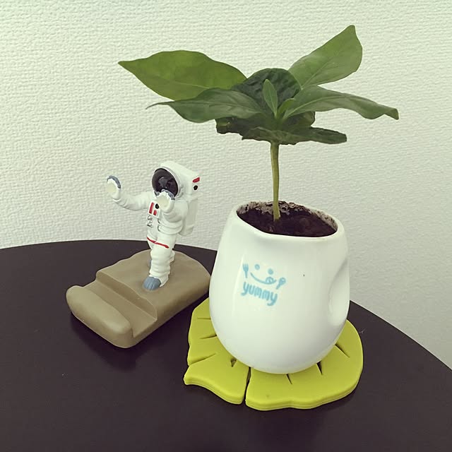 Kobekkoさんの実例写真