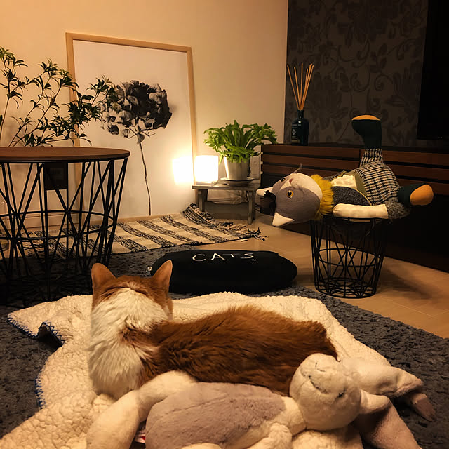 miruさんの実例写真