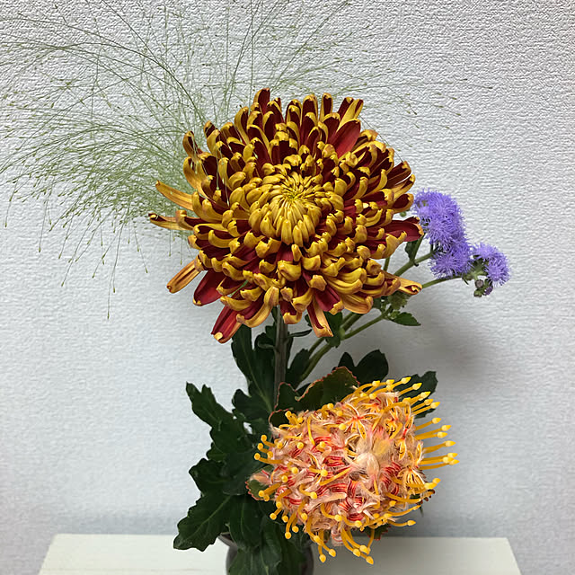 kyoko1124koさんの実例写真