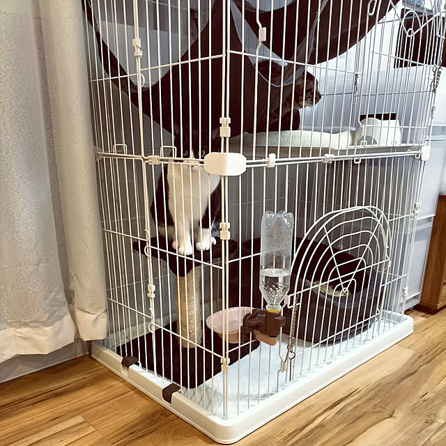 hihaさんの実例写真