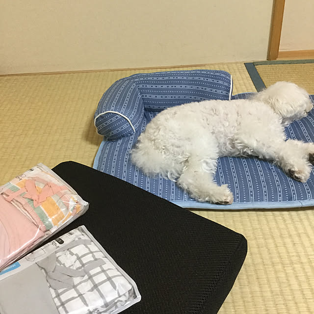 kakoさんの実例写真