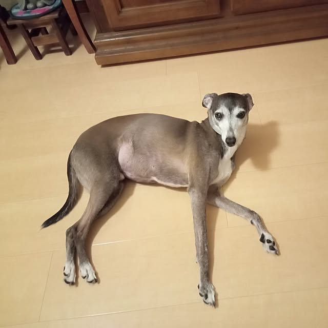 moruさんの実例写真