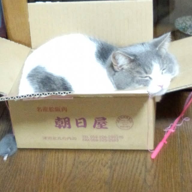 331momoさんの実例写真