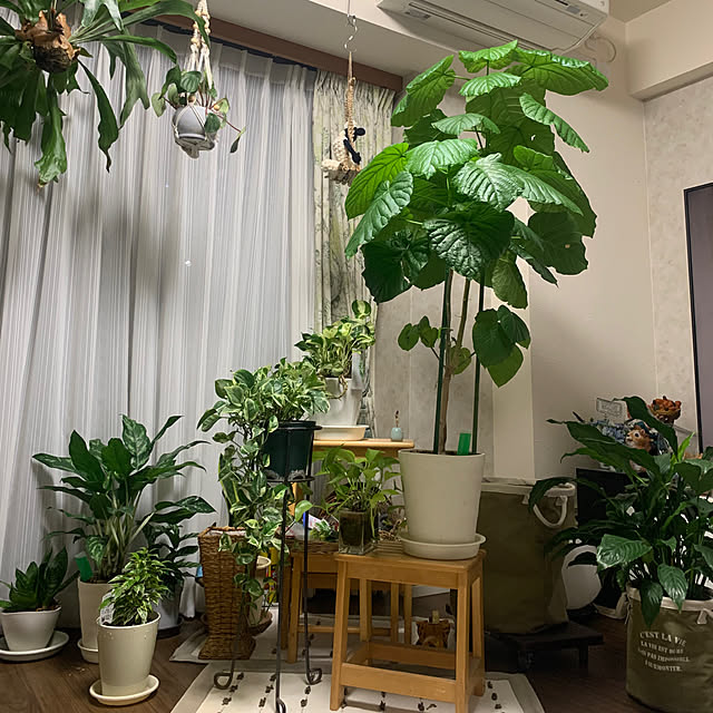 Aqettyさんの部屋
