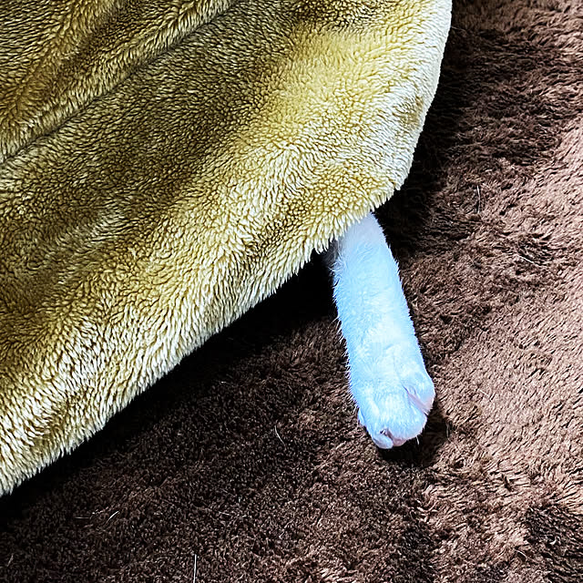 Mugiさんの実例写真