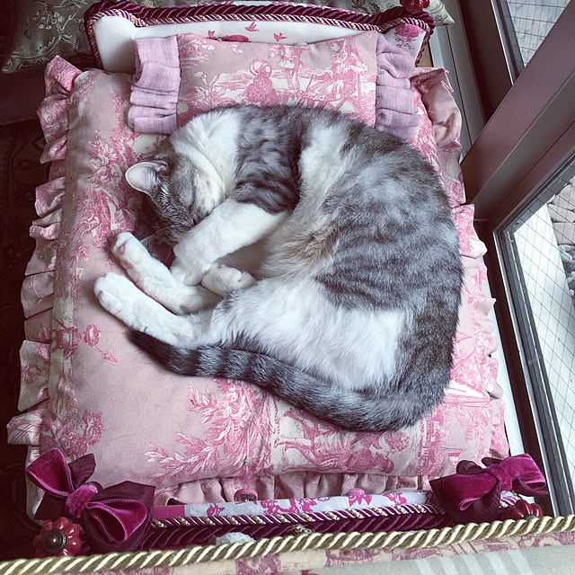 emmyyさんの実例写真