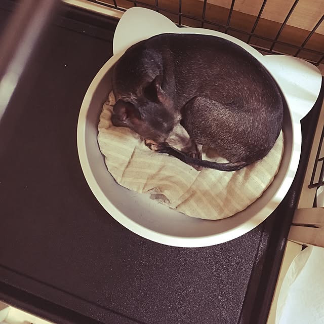 kantakaさんの実例写真