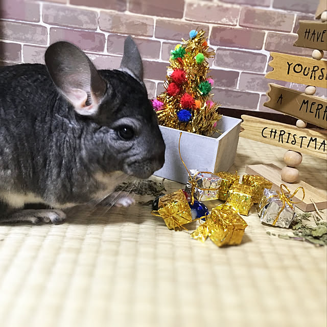 bambiさんの実例写真