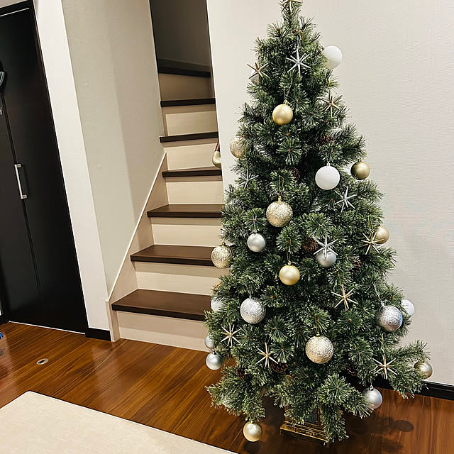 saeさんの実例写真