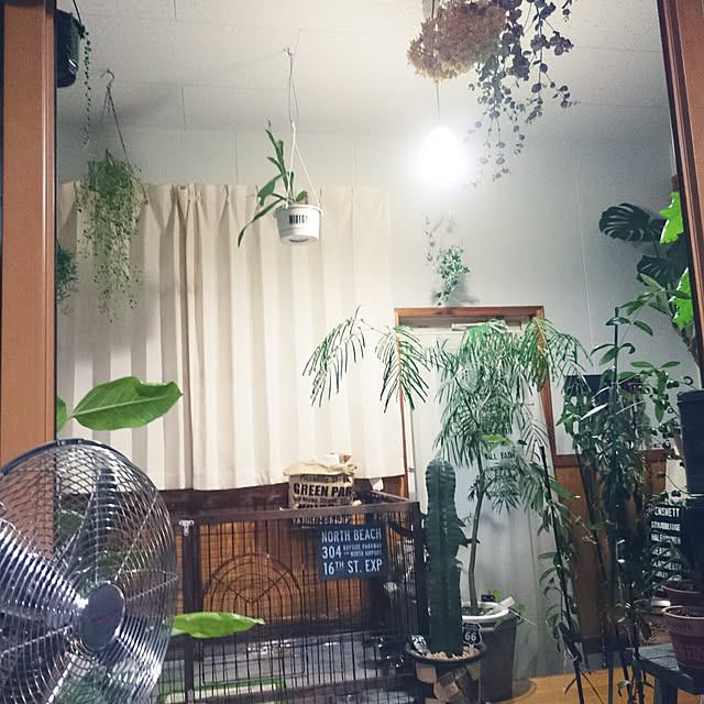 tikuwaさんの実例写真