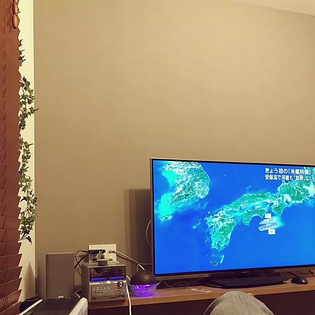 Ayumiさんの実例写真