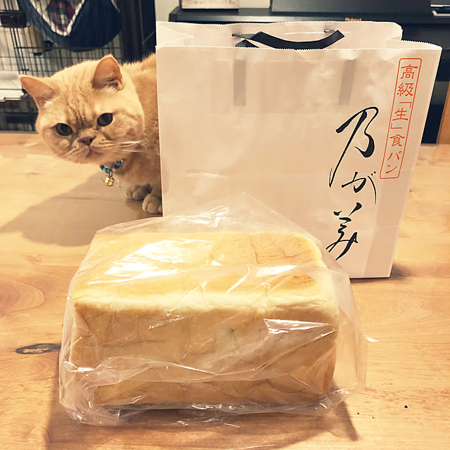 cocoさんの実例写真
