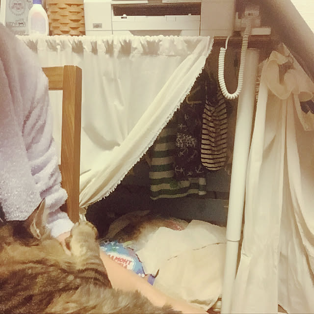 oniyomeさんの実例写真