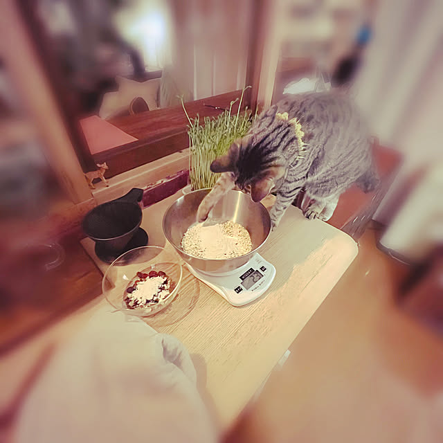 Mさんの実例写真