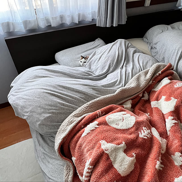cat5さんの実例写真